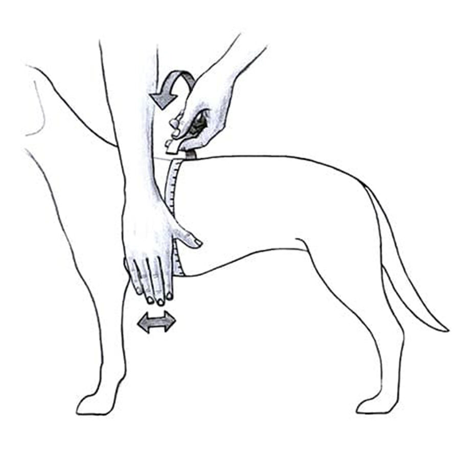 Julius-K9 IDC Arn&eacute;s Rojo para perros, , large Imagen numero 5