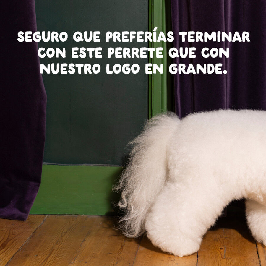 12 kg Edgard & Cooper Adult Pollo pienso para perros, , large Imagen numero 10