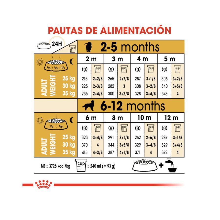 Royal Canin Puppy Golden Retriever pienso para perros thumbnail