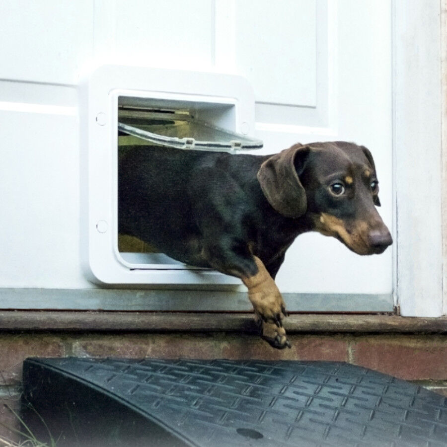 Sure Petcare SureFlap Puerta Automática Blanca con Microchip thumbnail