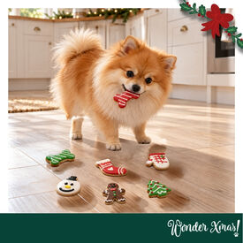 Wonder Christmas Pack Regalo Galletas Snacks para perros