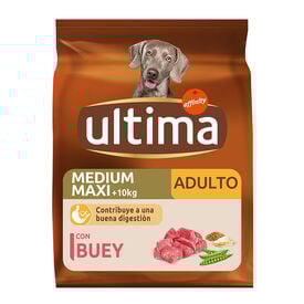Affinity Ultima Adult Medium/Maxi Buey pienso para perros
