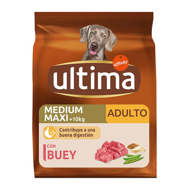Affinity Ultima Adult Medium/Maxi Buey pienso para perros, , large image number null