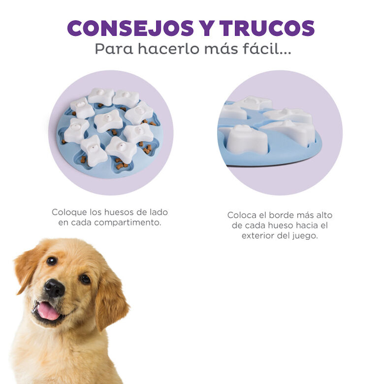 Outward Hound Puppy Smart Rompecabezas para cachorros thumbnail