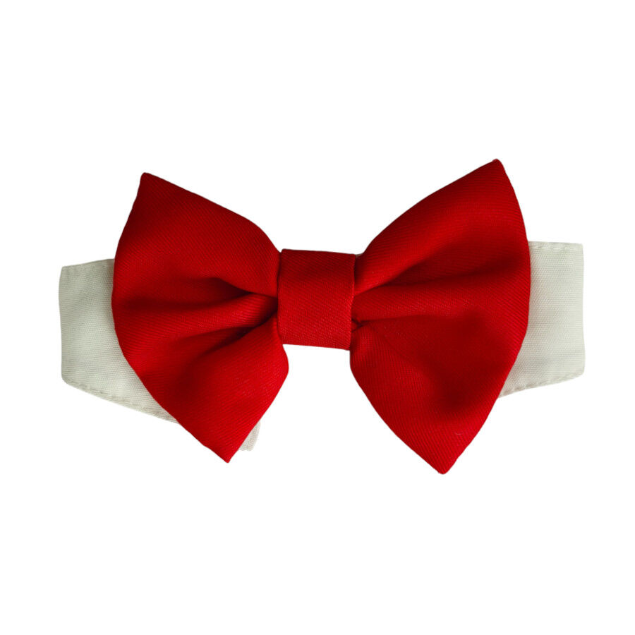 Gotoo Pajarita roja para perros, , large Imagen numero 1