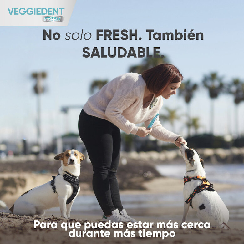 Virbac Snacks Dentales Veggiedent Fresh para perros de raza grande, , large image number null