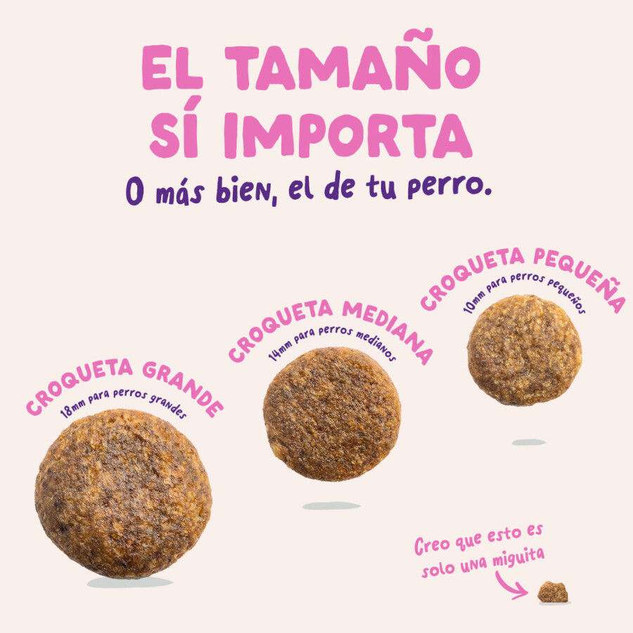 7 kg Edgard & Cooper Remolacha y Calabaza pienso para perros, , large Imagen numero 5