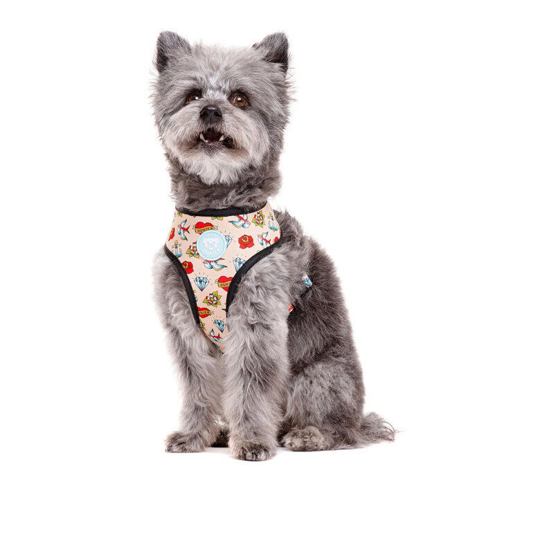 Dukier Arnés Reversible Estampado Tattoo para perros thumbnail
