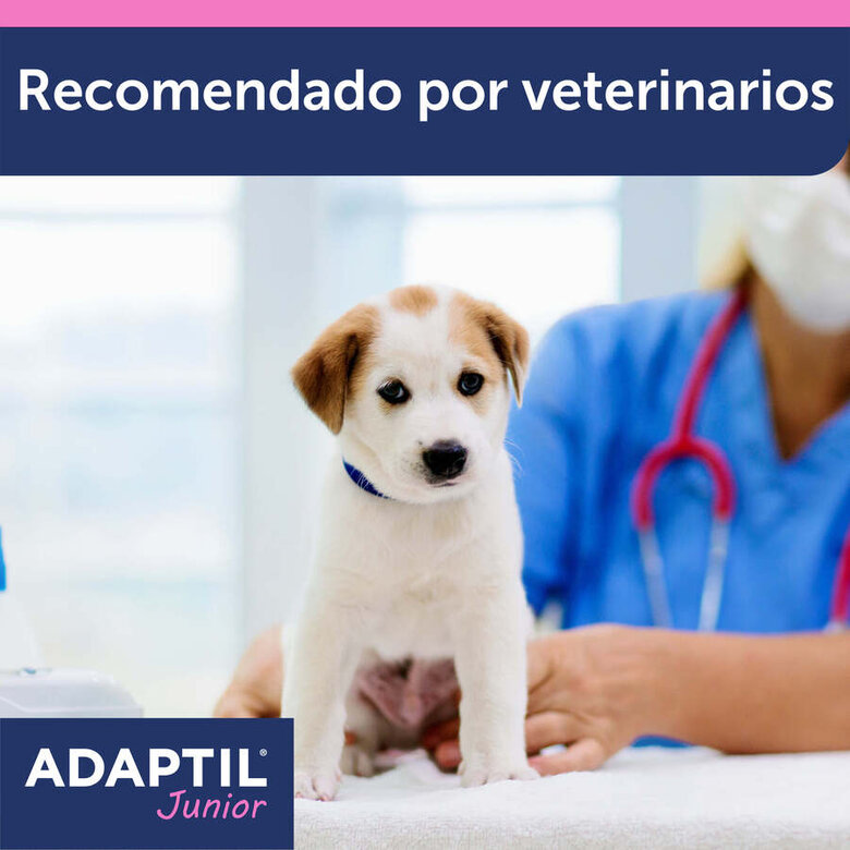 Adaptil Junior Collar Anti-estrés para perros, , large image number null