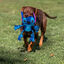 Disney Stitch Cuerda Dental juguete para perros, , large indicador imagen numero 4