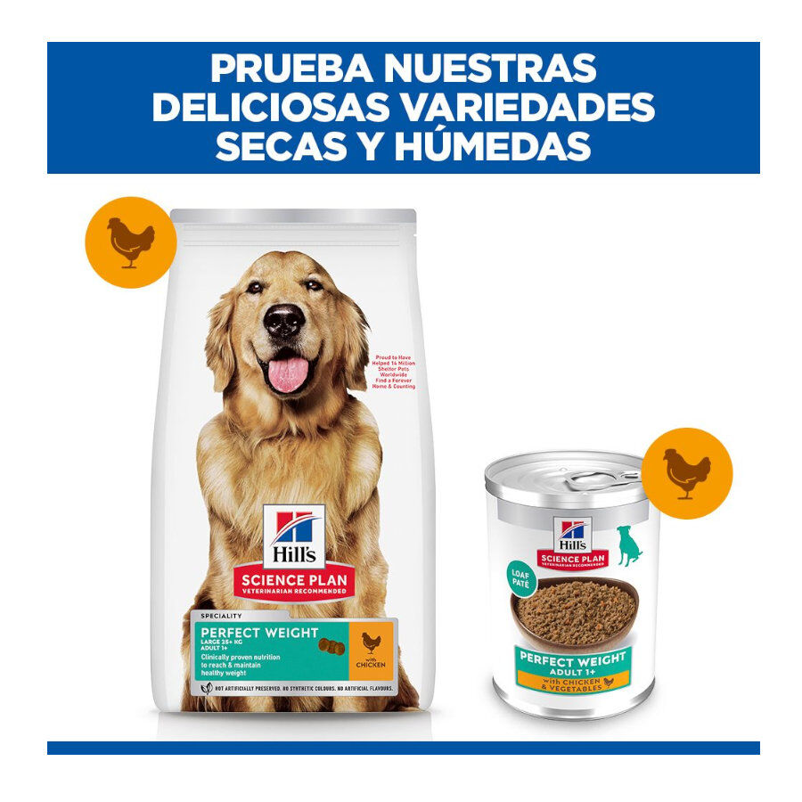 12 kg Hill's Science Plan Perfect Weight Adult Large Pollo pienso para perros, , large Imagen numero 9
