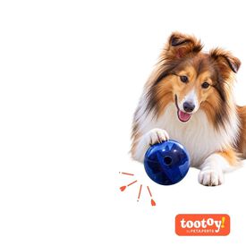 Tootoy! Explore Pelota Laberinto Recompensa Juguete para perros
