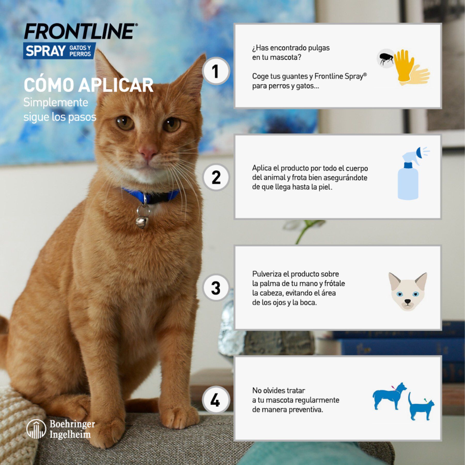 Frontline Spray Antiparasitario para perros y gatos thumbnail