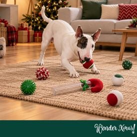 Wonder Christmas Bast&oacute;n de Caramelo Juguete para perros