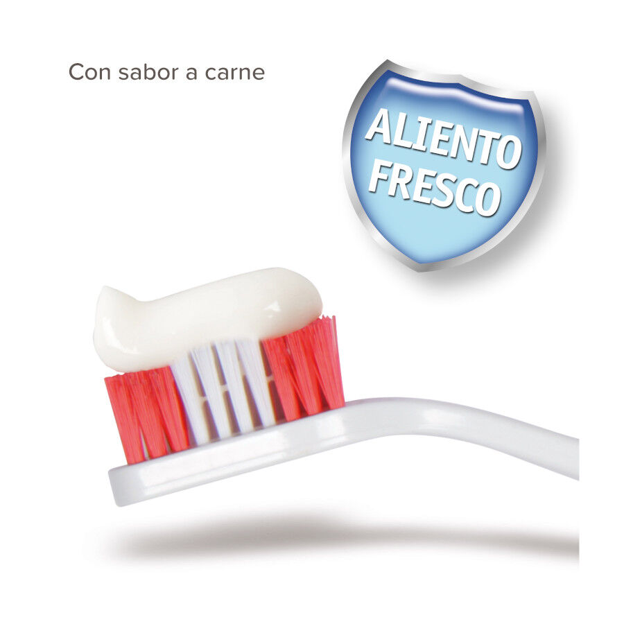 Beaphar Kit Dental para perros thumbnail