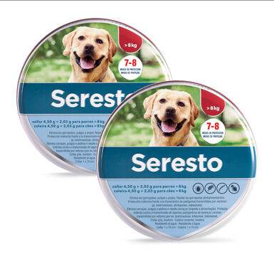 2 x Seresto Collar Antiparasitario para perros >8kg - Pack