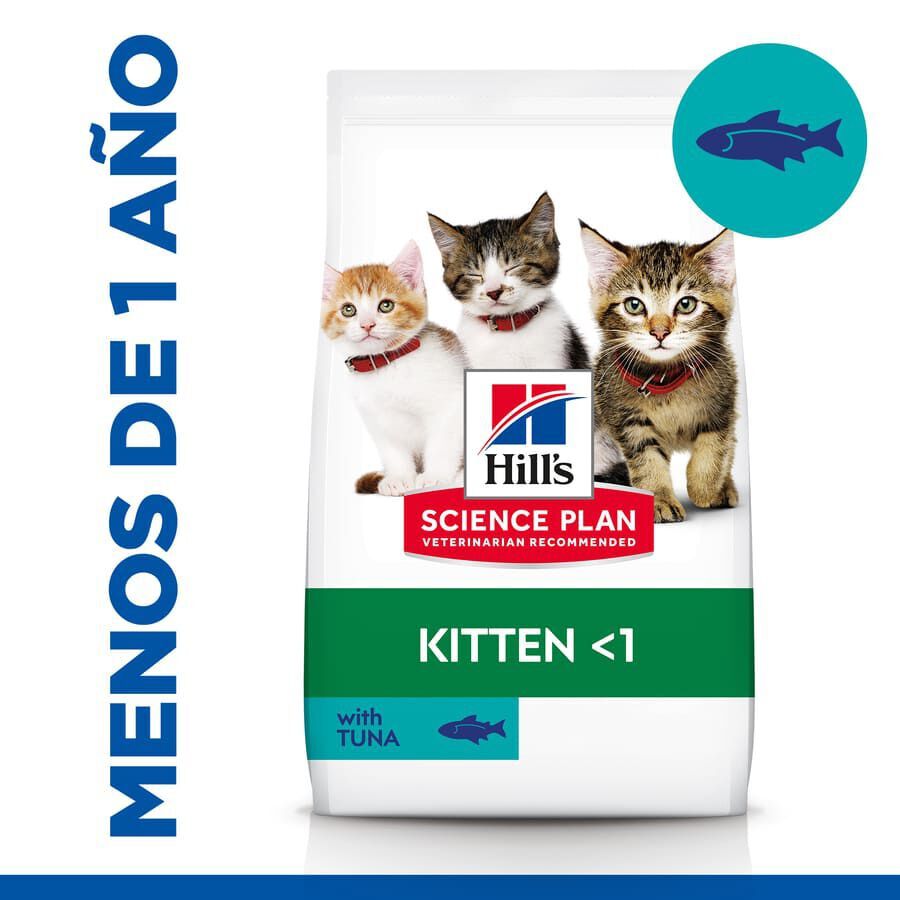 300 g Hill's Science Plan Kitten At&uacute;n pienso para gatos, , large Imagen numero 2