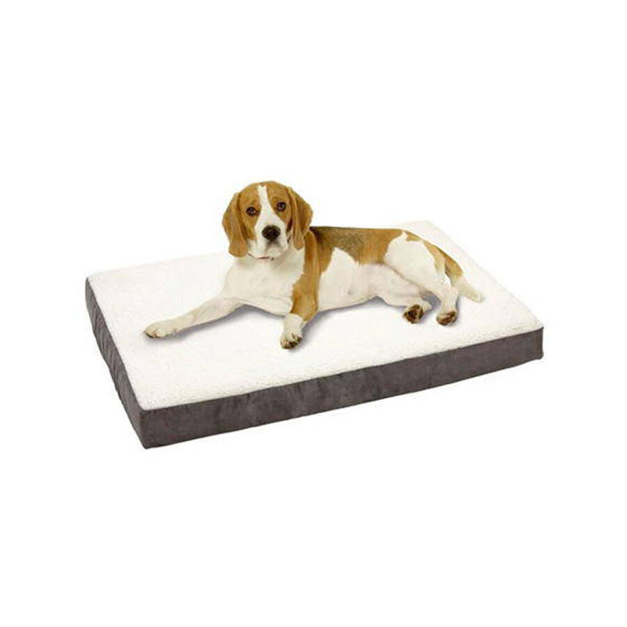 Camas de deals perro costco