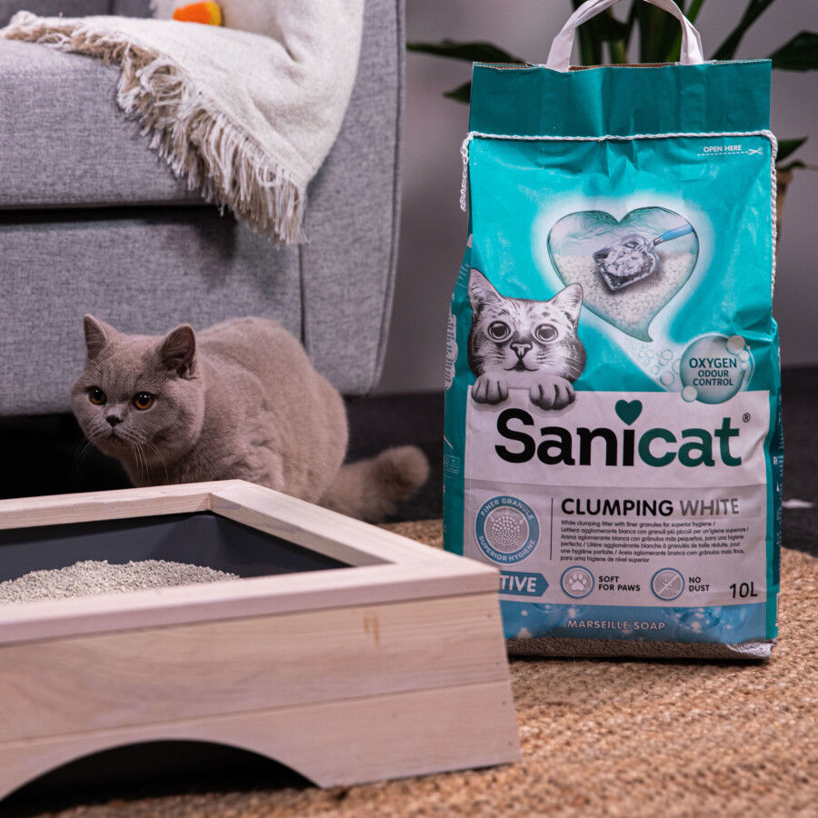 Sanicat Cumpling White Marseille Active Arena Aglomerante para gatos thumbnail