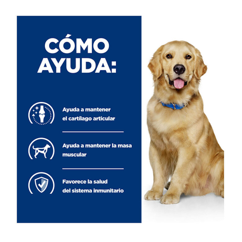 Hill's Prescription Diet Mobility Pollo pienso para perros, , large image number null