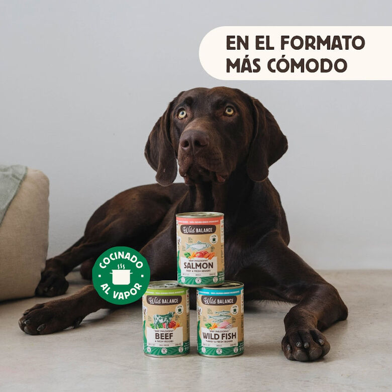 Wild Balance BARF Salmón y Ternera lata para perros thumbnail