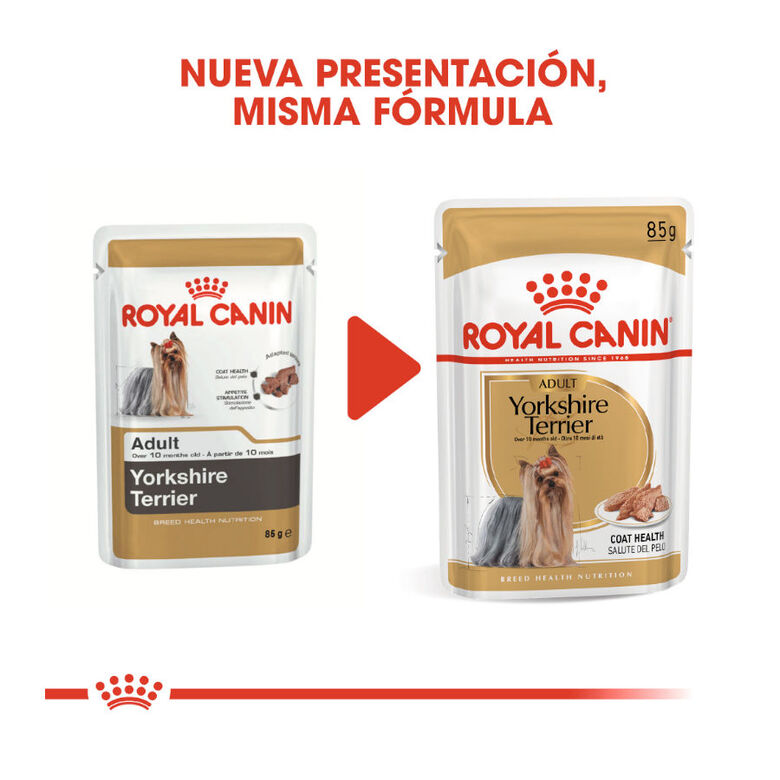 Royal Canin Yorkshire Terrier sobre para perros thumbnail