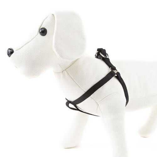 Nayeco Basic arn&eacute;s para perros negro Imagen numero 1