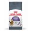 10 kg Royal Canin Appetite Control Care pienso para gatos, , large indicador imagen numero 1