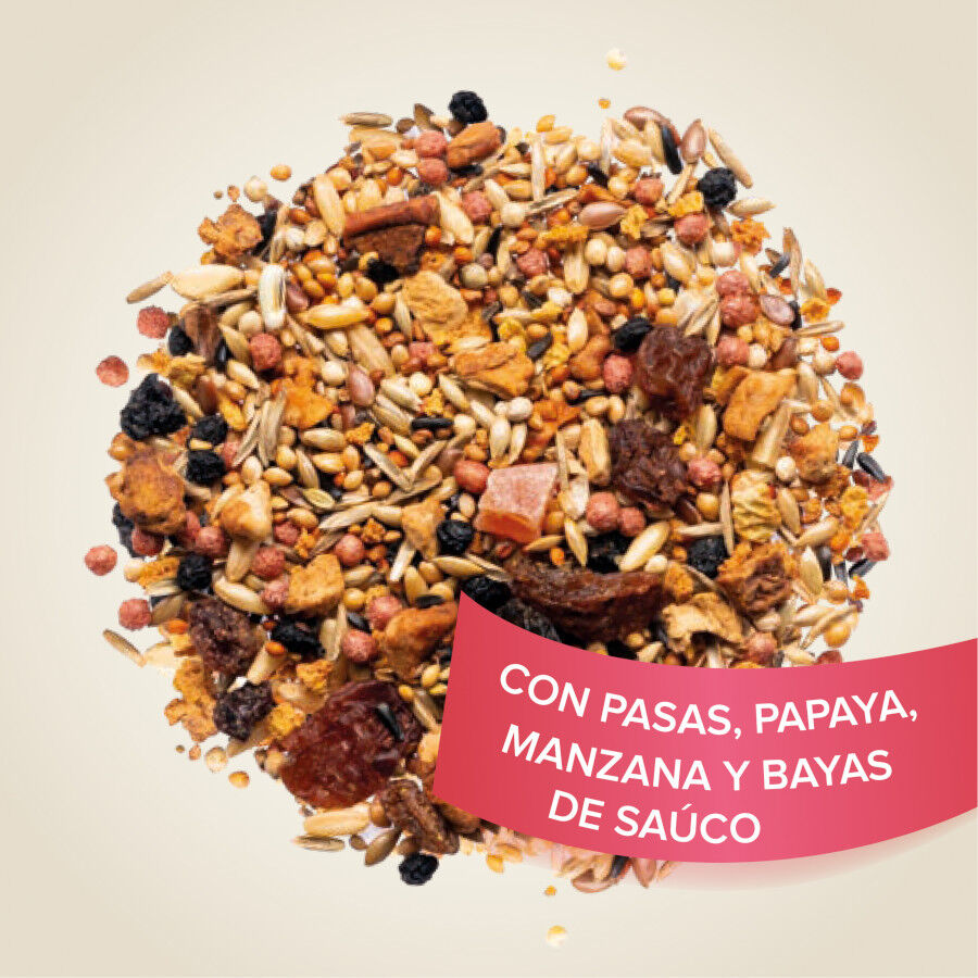 Beaphar Semillas de frutas para pájaros thumbnail