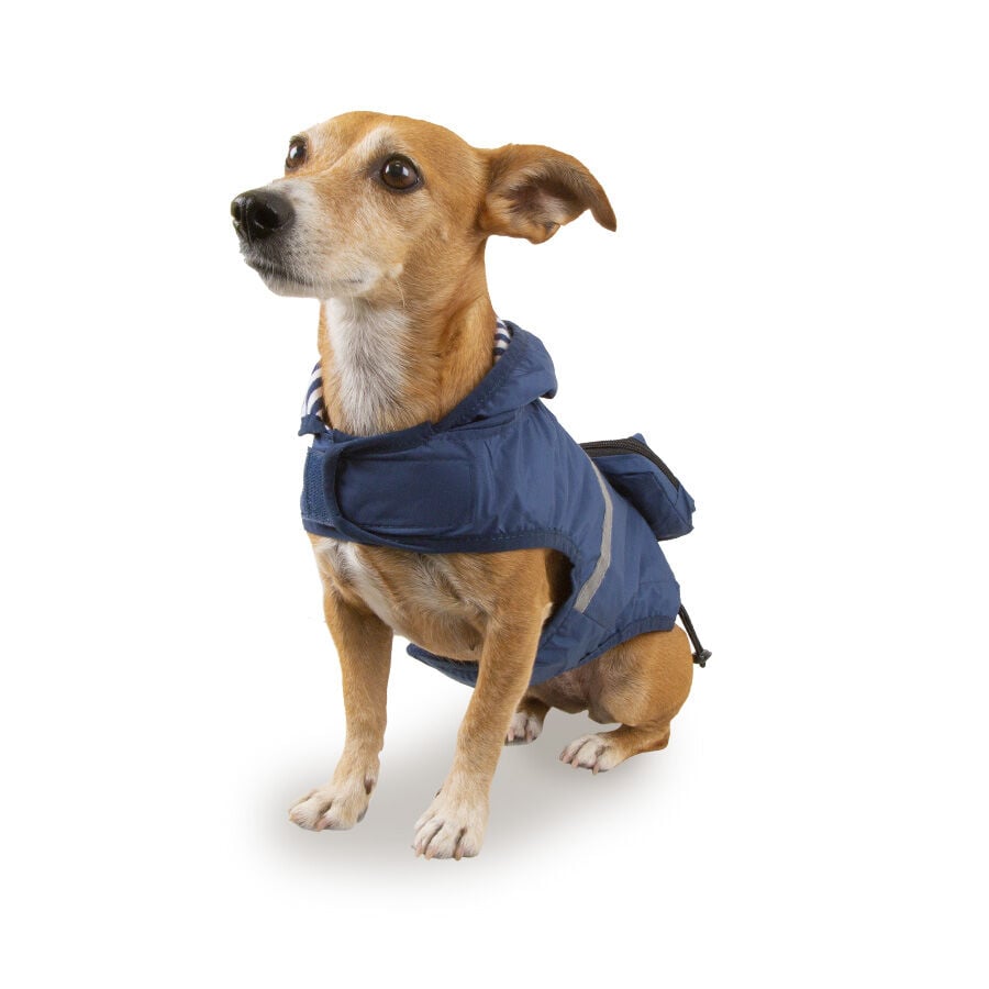 Outech Impermeable con Bolsillo Azul Marino para perros, , large Imagen numero 1