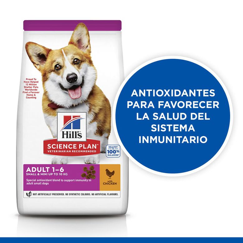 Hill&#039;s Science Plan Adult Small y Mini Pollo pienso para perros thumbnail