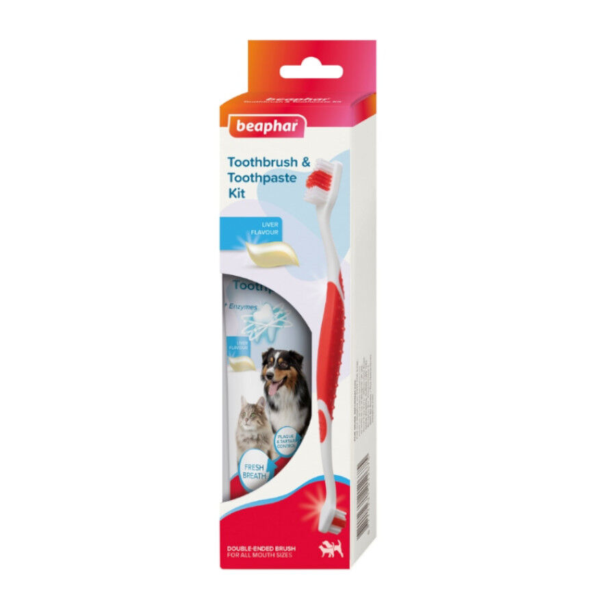 Beaphar Pack Dental Pasta y Cepillo para Perros y Gatos