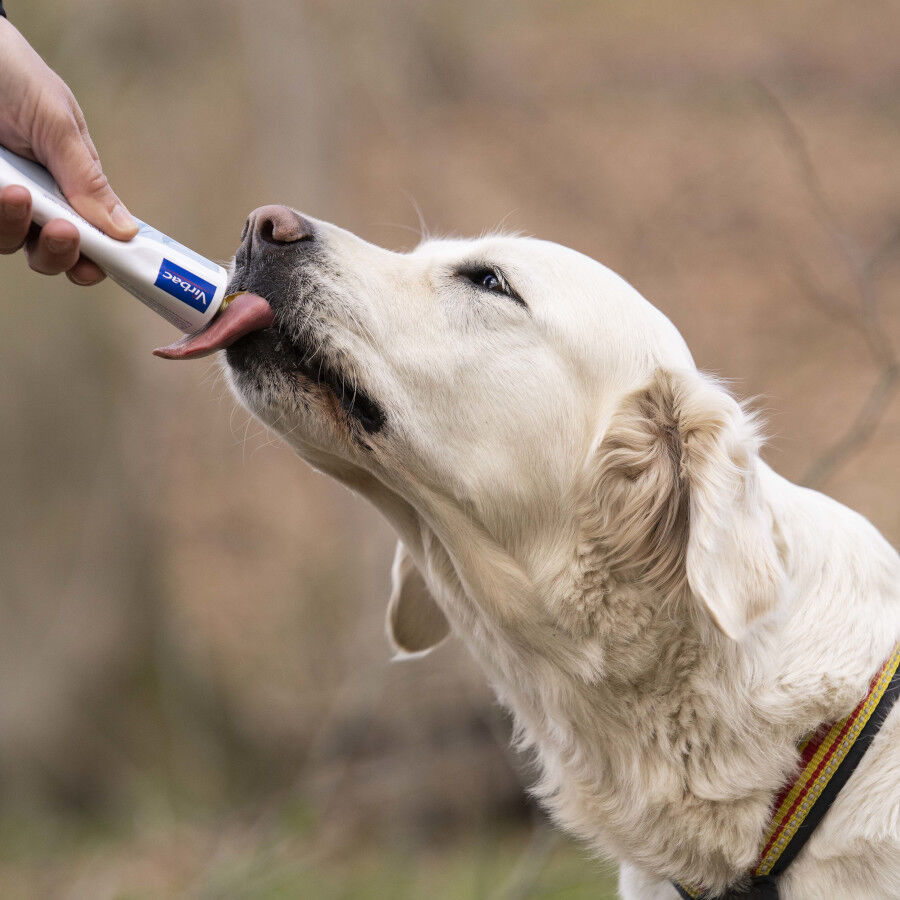 Virbac Nutri-plus gel Suplemento para perros y gatos thumbnail