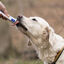 Virbac Nutriplus Suplemento en Gel para perros y gatos, , large indicador imagen numero 5