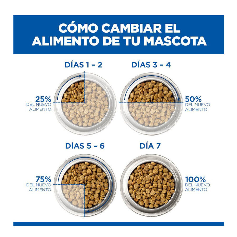 14 kg Hill's Science Plan Sensitive Stomach y skin Adult Pollo pienso para perros, , large Imagen numero 7