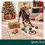 Wonder Christmas Cesta de Juguetes Premium Juguete para perros, , large indicador imagen numero 2