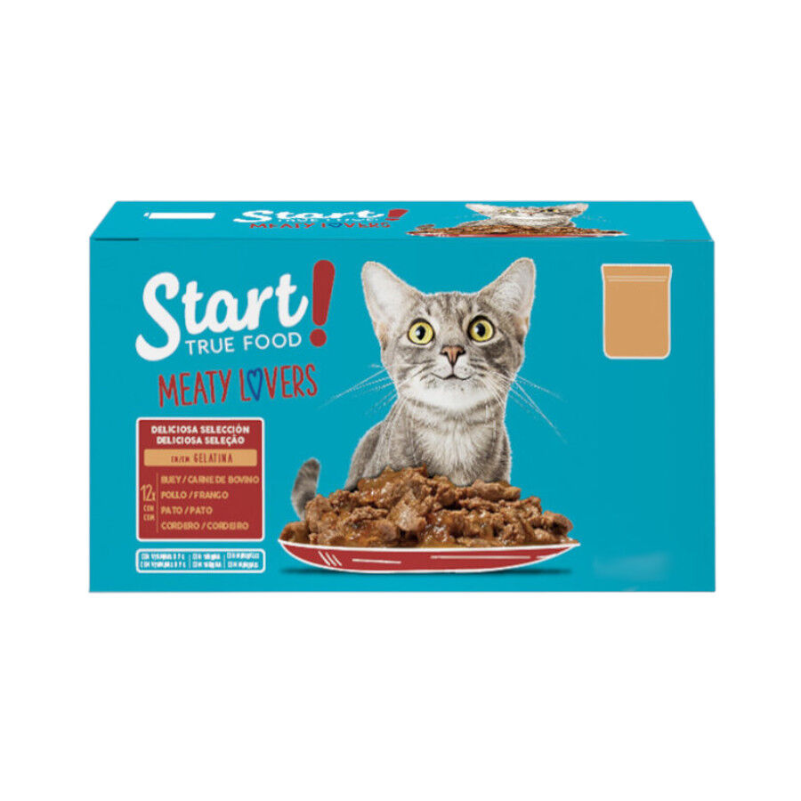 Start Cat Selección de carnes sobre con gelatina para gatos