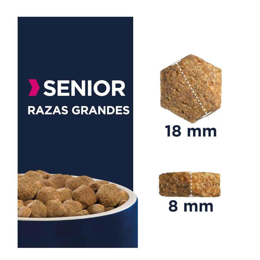 12 kg Eukanuba Senior Large Pollo pienso para perros, , large Imagen numero 2