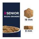 Eukanuba Senior Large Pollo pienso para perros, , large image number null