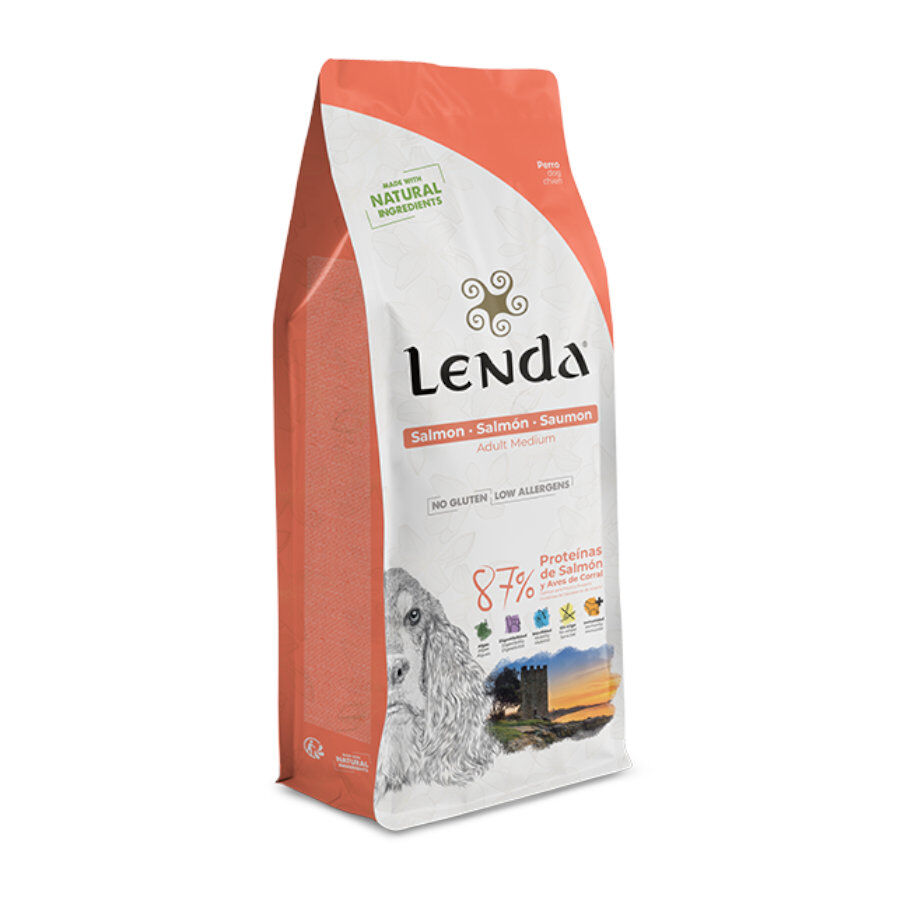 Lenda Original Salmón pienso para perros