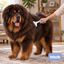 Bloob Rastrillo Deslanador Subpelo para perros, , large indicador imagen numero 2