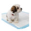 Beaphar Pack 14 Empapadores elimina olores para cachorros, , large indicador imagen numero 2