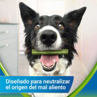 Dentalife Snacks Dentales Small ActivFresh para perros, , large image number null