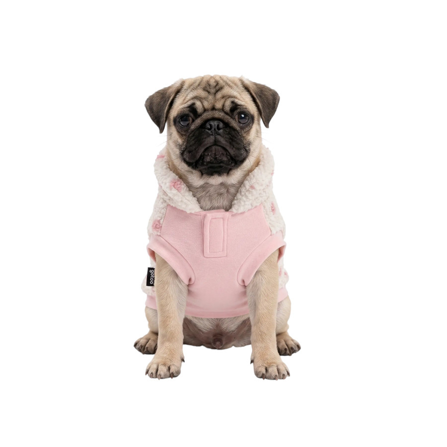 Gotoo Jersey Estampado Estrellas para perros, , large Imagen numero 7