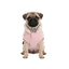 Gotoo Jersey Estampado Estrellas para perros, , large indicador imagen numero 7