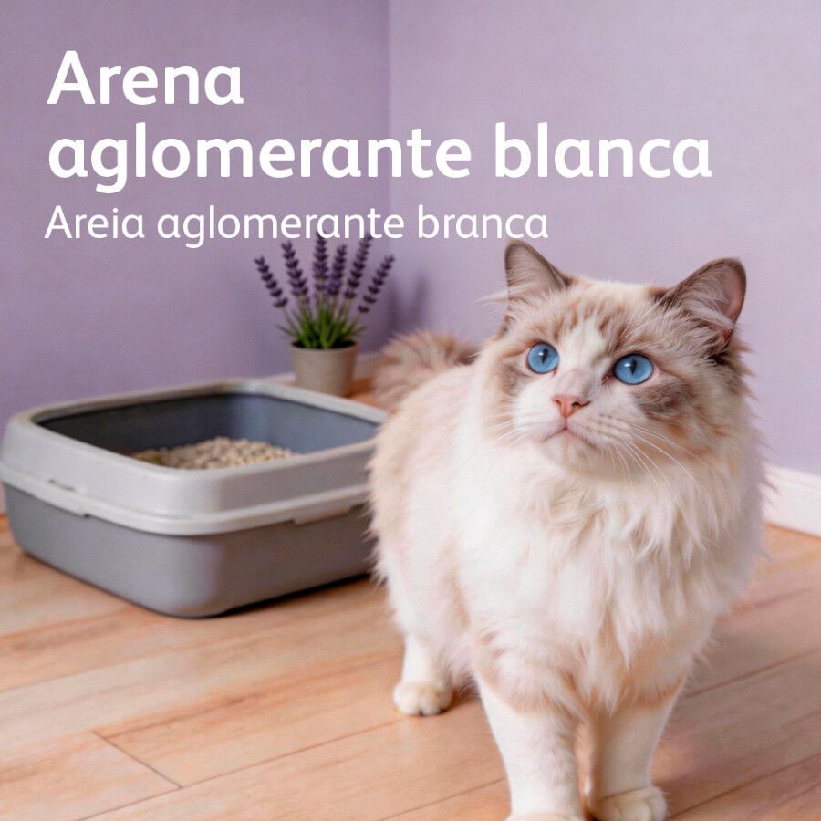 10 L Nova Clean Ultra Lecho Aglomerante Lavanda para gatos, , large Imagen numero 6