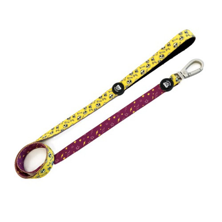 Dukier Skulls Correa Estampado Calaveras para perros,  Imagen numero 1 Dukier Skulls correa para perros con calaveras Imagen numero 1