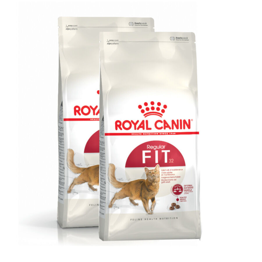 Royal Canin Regular Fit 32 pienso para gatos thumbnail