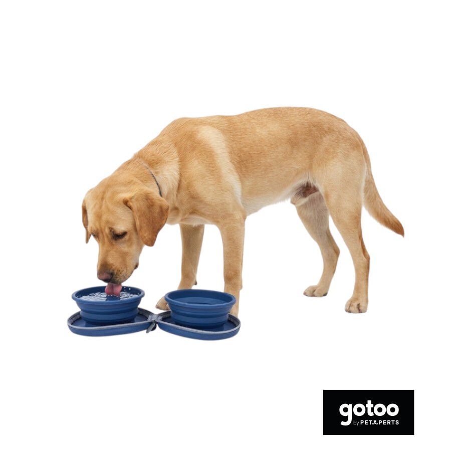 Gotoo Comedero Port&aacute;til Doble de Silicona Azul para perros, , large Imagen numero 7