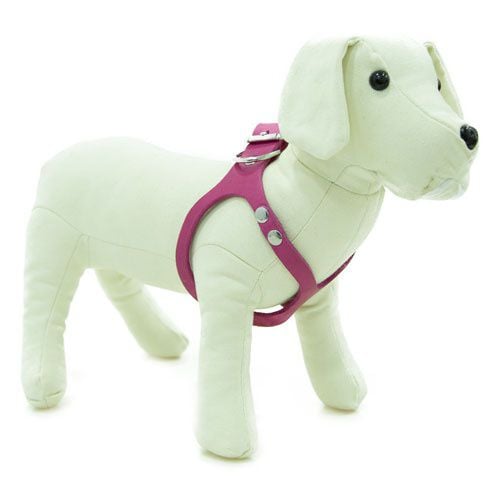 TK-Pet Royale rosa arn&eacute;s de cuero para perros Imagen numero 1